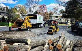 Best Lot and Land Clearing  in Flemingsburg, KY