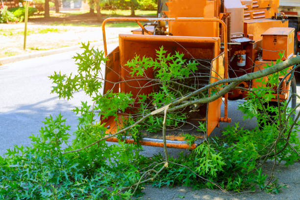 Best Pest Control for Lawns  in Flemingsburg, KY