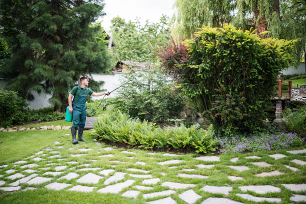 Best Lawn Drainage Solutions  in Flemingsburg, KY