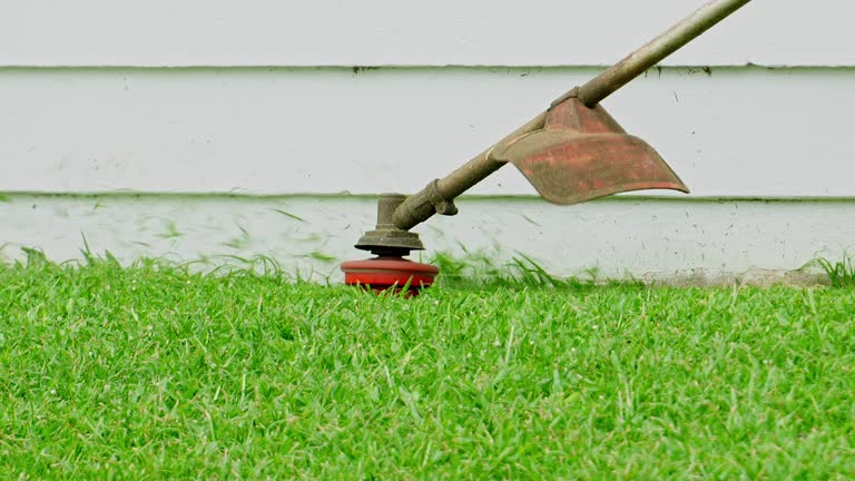 Best Hazardous Tree Removal  in Flemingsburg, KY